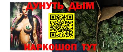 стафф Дубна