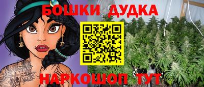 стафф Дубна